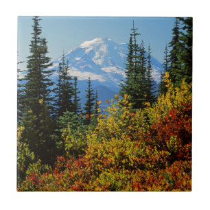 Carreau En Céramique États-Unis, Washington, Mt. Rainier National Park