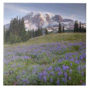 Carreau En Céramique États-Unis, Washington, Mt. Rainier NP, Mt. Rainie