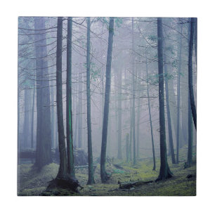 Carreau En Céramique États-Unis, Washington, Orcas Island, Moran State