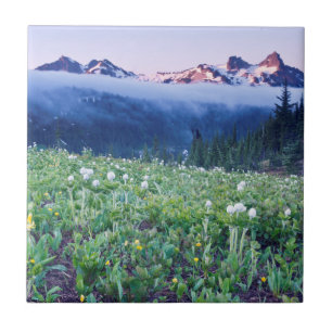Carreau En Céramique États-Unis, Washington, Parc national du mont Rain