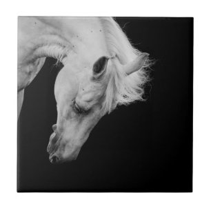 Carreau En Céramique Étonnant cheval blanc sur noir en regardant vers