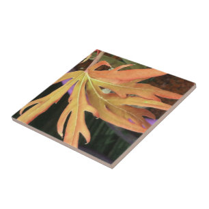 Carreau En Céramique Étude sur la feuille 2