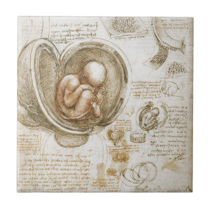 Carreau En Céramique Études de Leonardo da Vinci du foetus dans