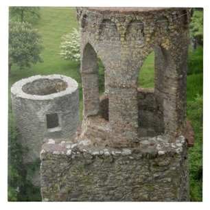 Carreau En Céramique Europe, Irlande, Château de Blarney. CETTE IMAGE