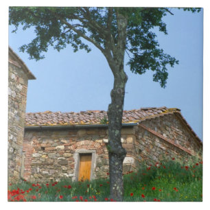 Carreau En Céramique Europe, Italie, Toscane, villa abandonnée dans