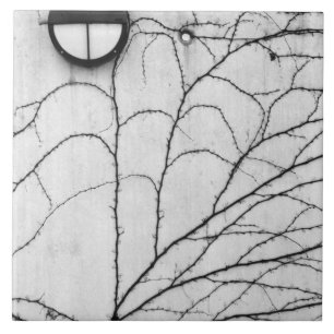 Carreau En Céramique Europe, Suisse, Lucerne. Motif de lierre sur
