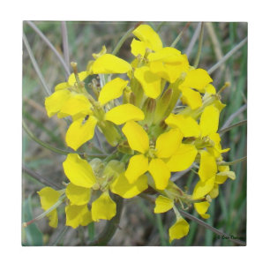 Carreau En Céramique F14 Fleurs sauvages jaunes