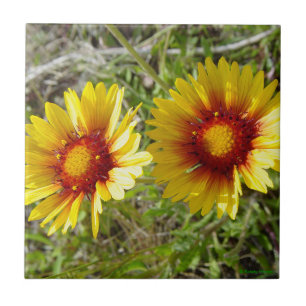 Carreau En Céramique F8 Fleurs sauvages jaunes Gaillardia