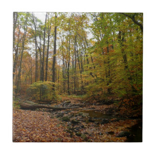 Carreau En Céramique Fall Creek à Laurel Hill State Park Pennsylvanie