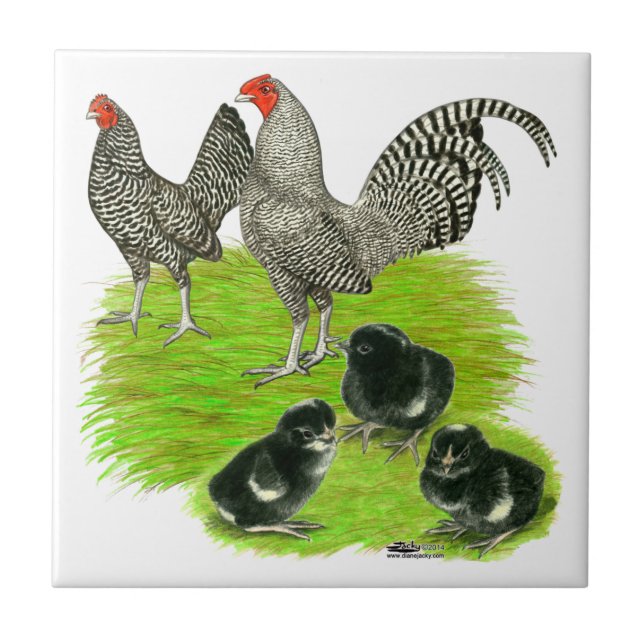 Carreau En Céramique Famille Bantam à barreaux anglais (Devant)
