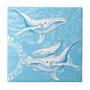 Carreau En Céramique Famille Blue Whales