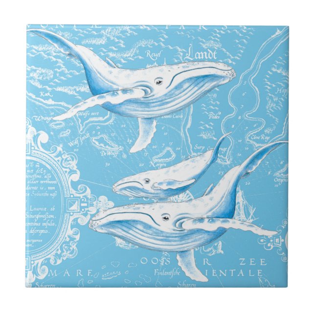Carreau En Céramique Famille Blue Whales (Devant)