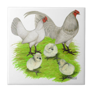 Carreau En Céramique Famille de Bantam Old English Self Blue
