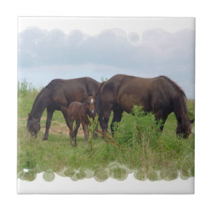 Carreau En Céramique Famille de cheval frôlant la tuile