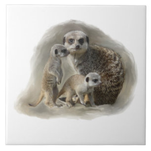 Carreau En Céramique famille de meerkat