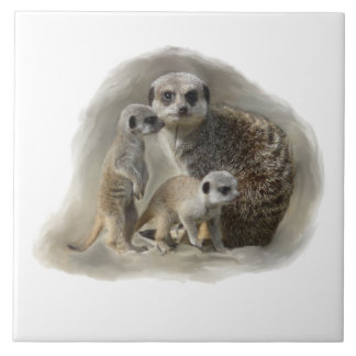 Carreau En Céramique famille de meerkat