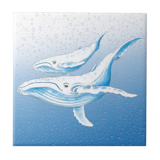 Carreau En Céramique Famille Humpback (Devant)