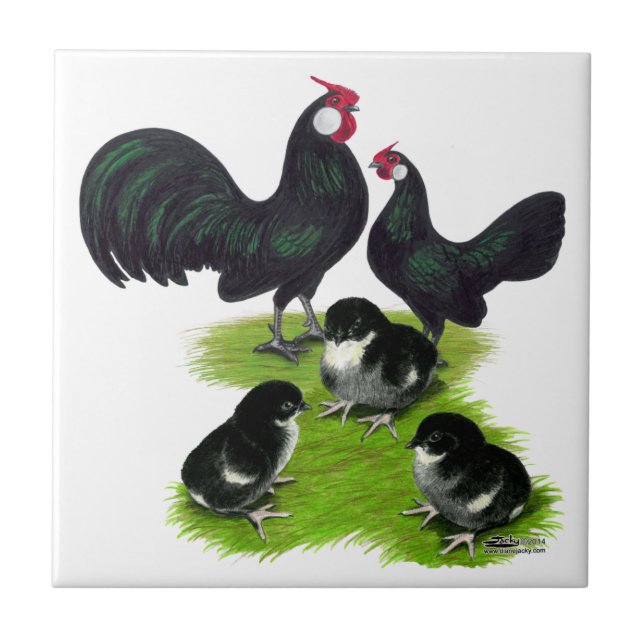 Carreau En Céramique Famille Rosecomb Black Bantam (Devant)