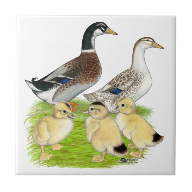 Carreau En Céramique Famille Silver Appleyard (Devant)