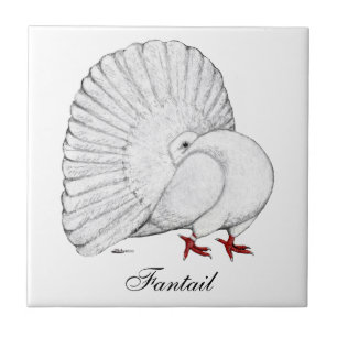 Carreau En Céramique Fantail Pigeon White