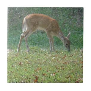 Carreau En Céramique faun, cerf-bébé au lac Arrowhead