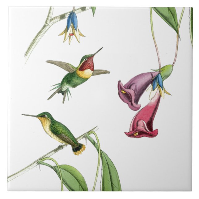 Carreau En Céramique Faune florale d'animaux de fleurs d'oiseaux de (Devant)