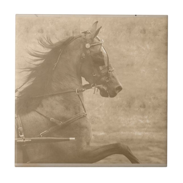 Carreau En Céramique Faux Vintage Hackney (Devant)