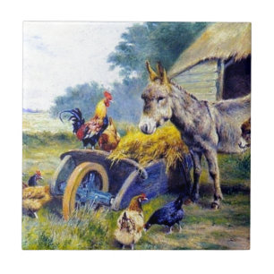 Carreau En Céramique Ferme de poulet de coq d'âne hé