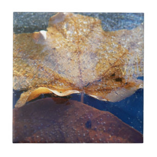 Carreau En Céramique Feuille de érable jaune gelée Automne Nature
