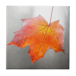 Carreau En Céramique Feuille d'érable rouge - Automne mystique