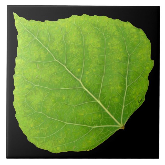 Carreau En Céramique Feuille verte #11 d'Aspen (Devant)