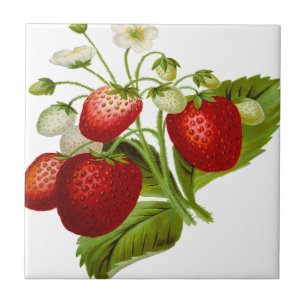 Carreau En Céramique feuilles feuillus à feuilles de fruits alimentair
