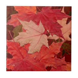 Carreau En Céramique Feuilles Red Maple