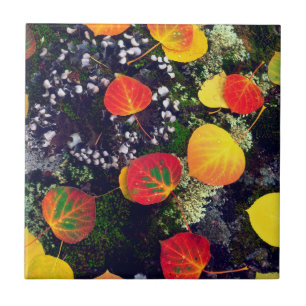 Carreau En Céramique Feuilles sur un rocher recouvert de lichen, Montag