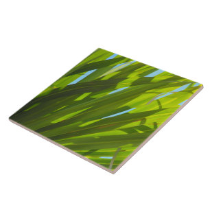 Carreau En Céramique Feuilles Vertes, Lumière du Soleil et Ciel Bleu