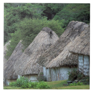 Carreau En Céramique Fidji, Viti, huttes traditionnelles.