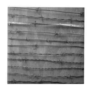 Carreau En Céramique fil barbelé