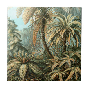 Carreau En Céramique Filicinae par Ernst Haeckel, plantes de fougères a