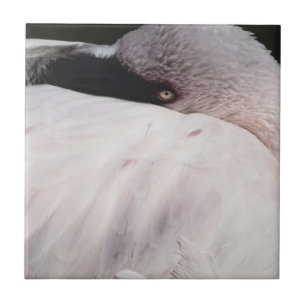 Carreau En Céramique Flamant rose