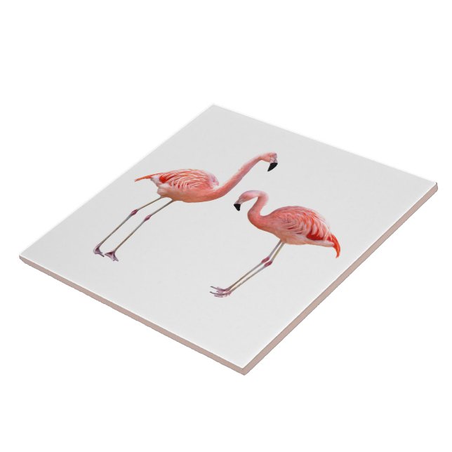 Carreau En Céramique “flamingo”の優良製品 (Côté)