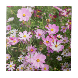 Carreau En Céramique Fleur de Cosmos (Bidens Formosa). Kirkwood