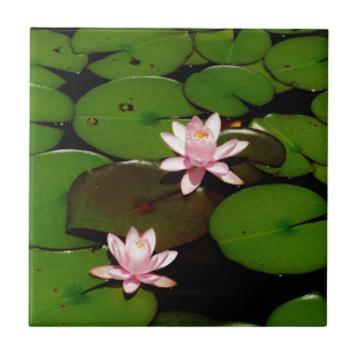 Carreau En Céramique fleur de laine d'eau rose pâle