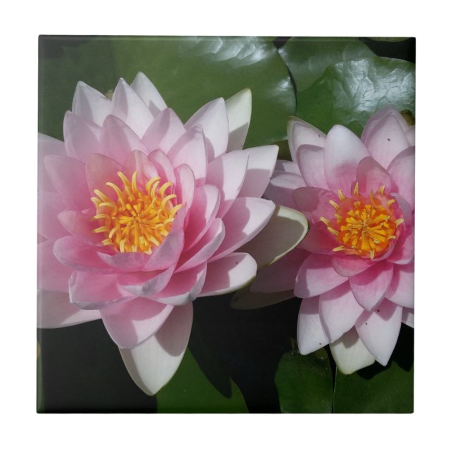 Carreau En Céramique Fleur de Lotus (Devant)