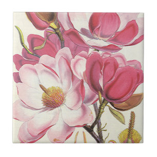 Carreau En Céramique Fleur de magnolia ancien, fleurs de jardin roses