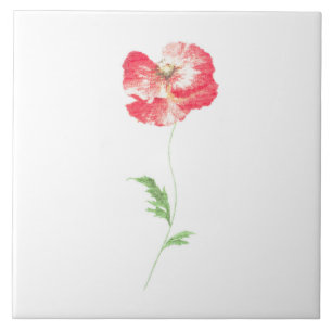 Carreau En Céramique Fleur de pavot sauvage