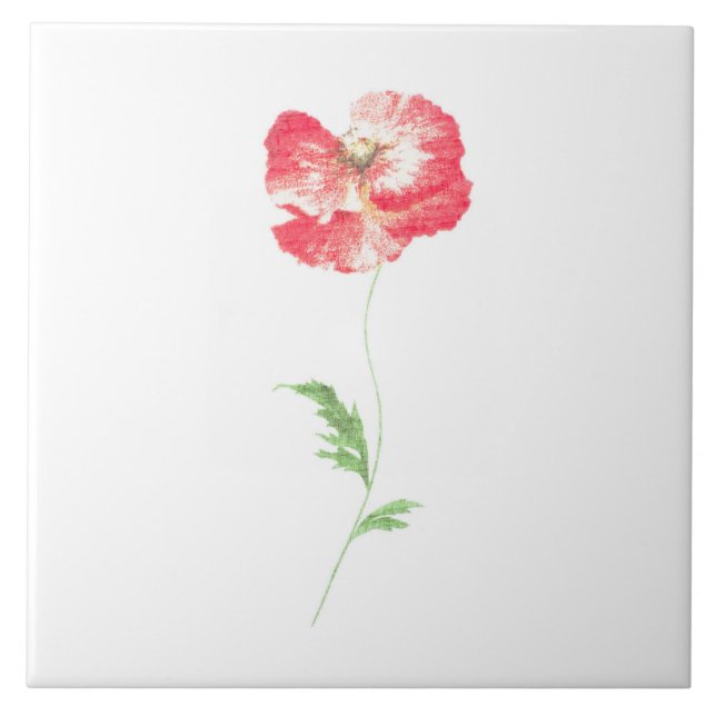 Carreau En Céramique Fleur de pavot sauvage (Devant)