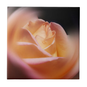 Carreau En Céramique Fleur de rose jaune superbe