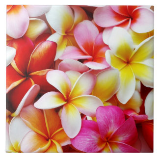 Carreau En Céramique Fleur d'Hawaï de Frangipani de Plumeria customisée