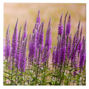 Carreau En Céramique Fleur - Je rêve de lavande