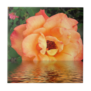 Carreau En Céramique Fleur orange de rose jaune